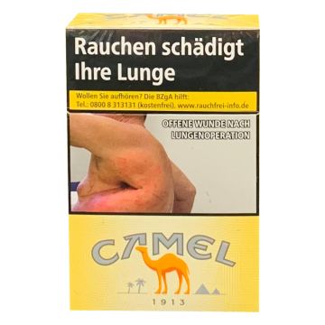 Camel Yellow L AP