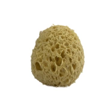 Badeschwamm Naturgebilde