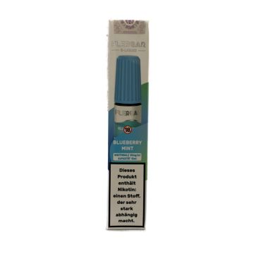 Flerbar Blueberry Mint 20 mg/ml